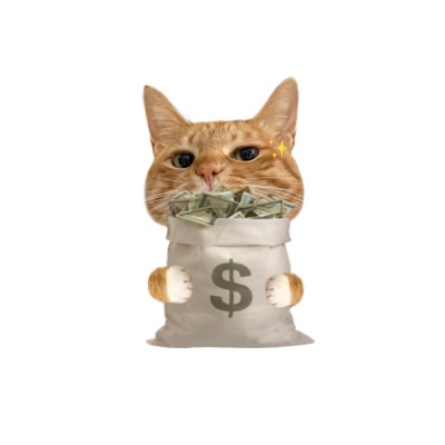 2026年必存招财小猫头像图片