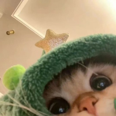 2026超萌萌宠头像