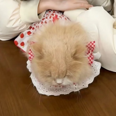 对象不是人系列情