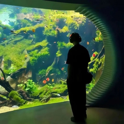 2026热门小清新帅气男生头像