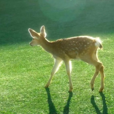 2026超治愈唯美风景氛围感头像