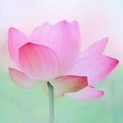 超有深度的风景头像