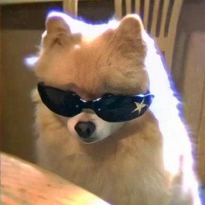 可爱猫咪修勾头像