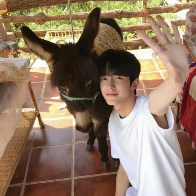 2026超火单人情头