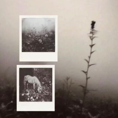 小众文艺女生头像