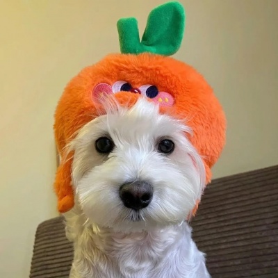 2026超火可爱搞笑头像