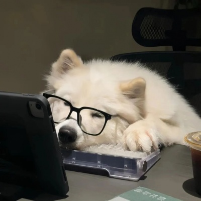 治愈系萌宠头像