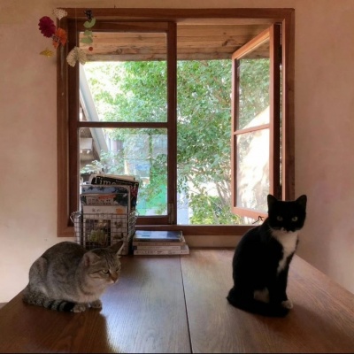 小众女头+背景图加头像全套