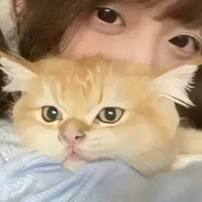 对象不是人主题单人情侣头像