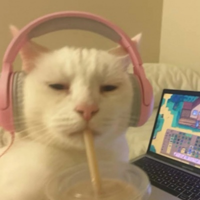 高清电竞小猫情侣头像