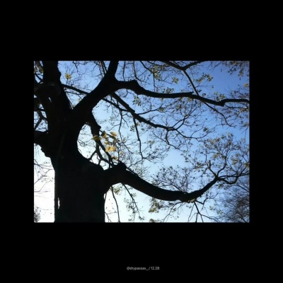 2026必存唯美风景头像