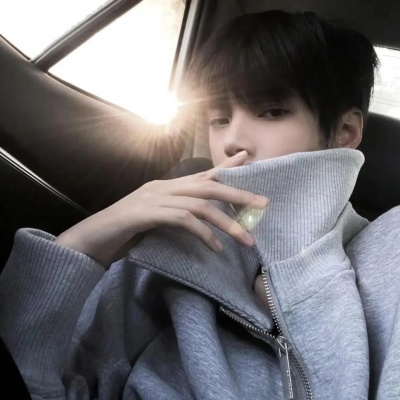 权威男头小狗级别