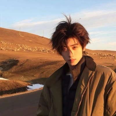 2026高质量权威男头