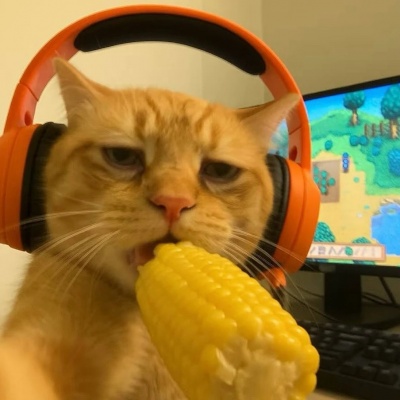 高清电竞小猫情侣头像