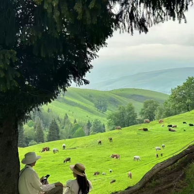 2026超治愈唯美风景氛围感头像