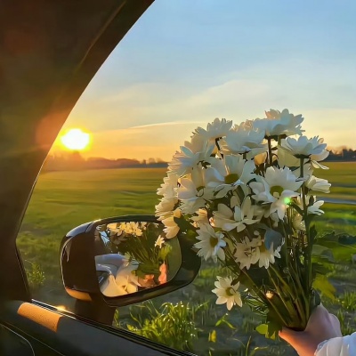 不撞款的小众静物头像