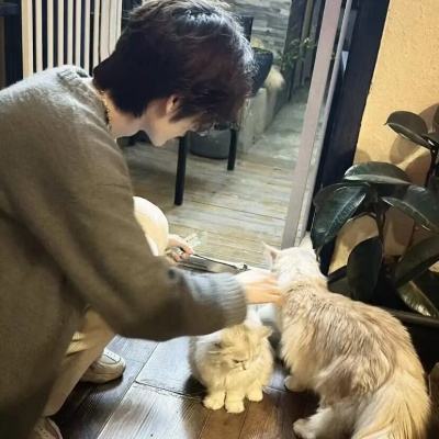 氛围感小众男生头像