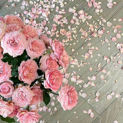 2026必存唯美风景头像