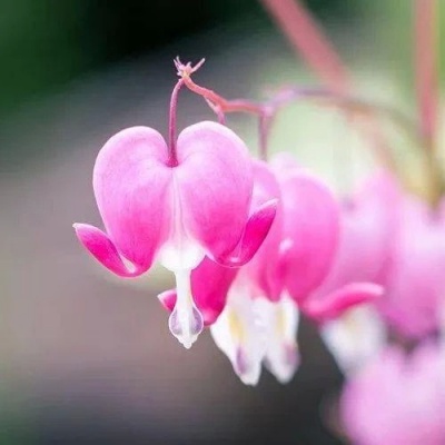 超有深度的风景头像