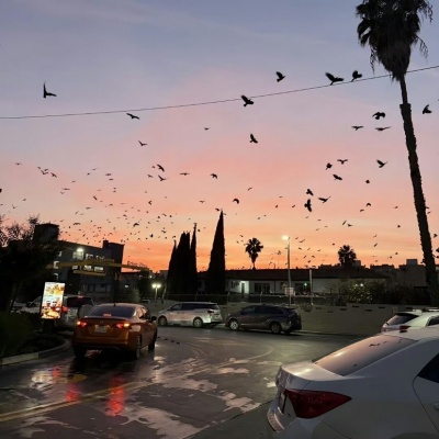 2026年小众风景头像