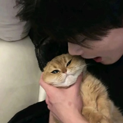 2026真实优质男头