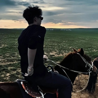 轻熟风真人男头