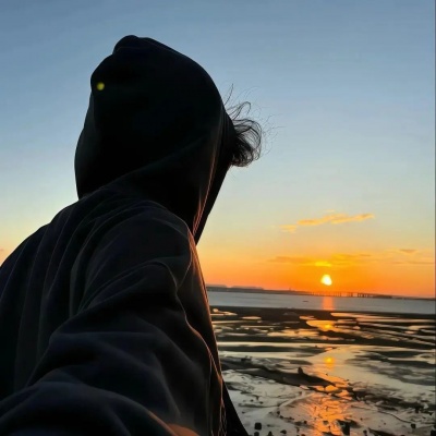 2026高质量权威男头