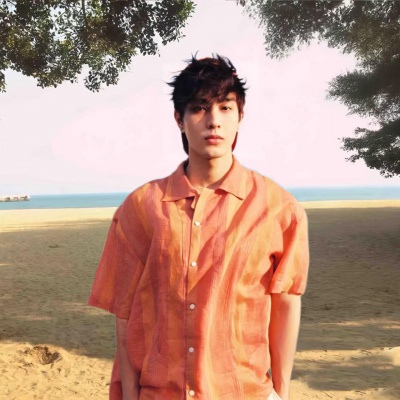 2026超火ins小众单人滤镜情头