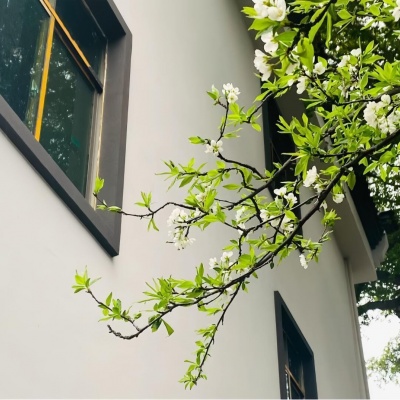 2026年小众风景头像