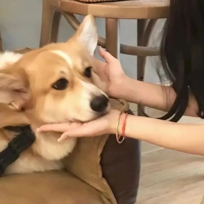 边角料系列情侣头像