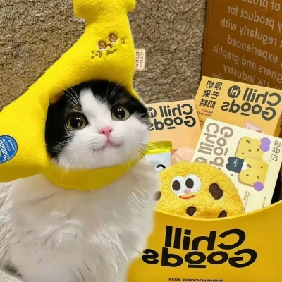 小众女头+背景图加头像全套