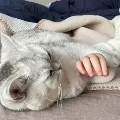 对象不是人主题单人情侣头像