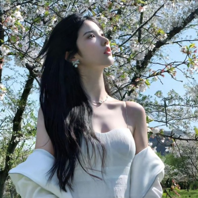 唯美气质小众女头