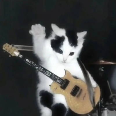 治愈系萌宠头像