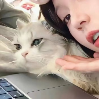 对象不是人系列情头ins