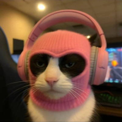 高清电竞小猫情侣头像