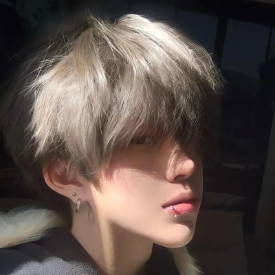 权威男头小狗级别