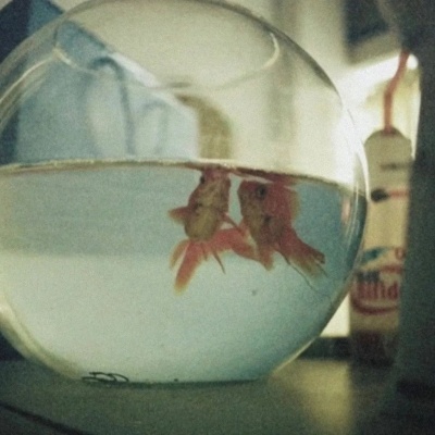 小众文艺女生头像