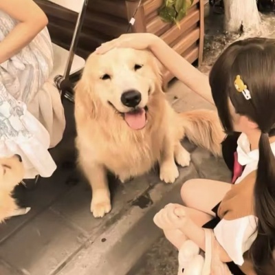 对象不是人系列情头ins