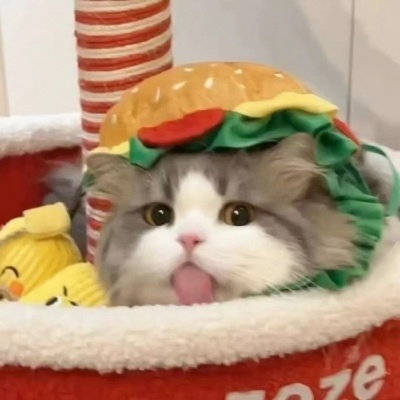 2026超萌萌宠头像