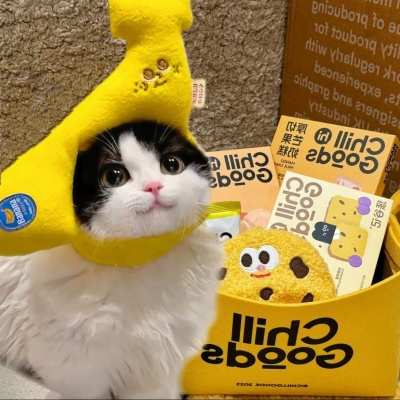 2026年适合做头像的萌宠图片