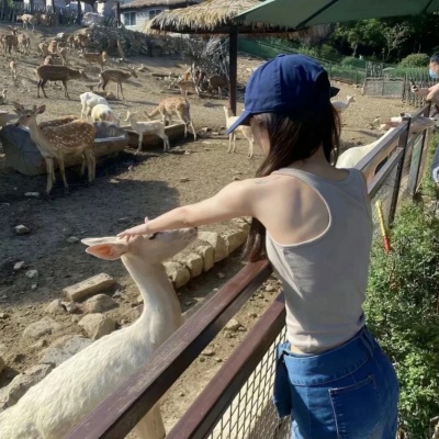 ins超火风景自由感女头像