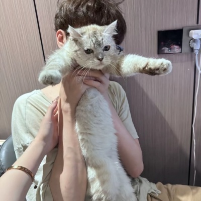 ins小众氛围男生头像