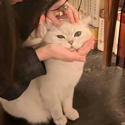 男朋友不是人系列情头