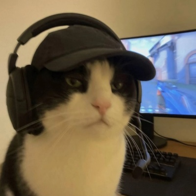 高清电竞小猫情侣头像