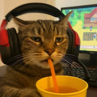 高清电竞小猫情侣头像