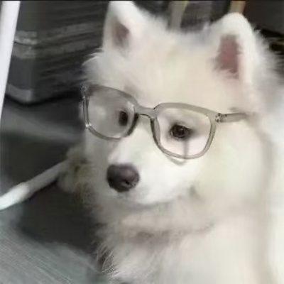 2026超萌萌宠头像