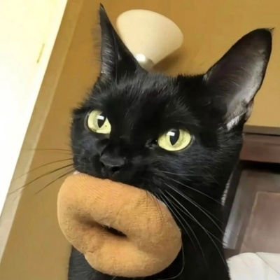 超可爱搞怪小猫头像