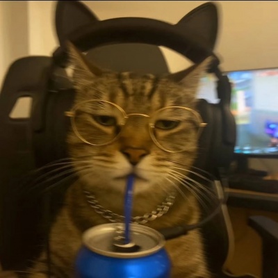 高清电竞小猫情侣头像