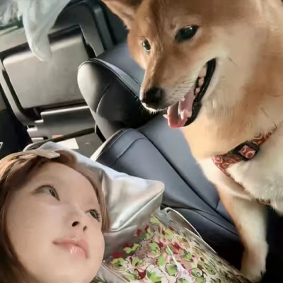 男朋友不是人系列情头